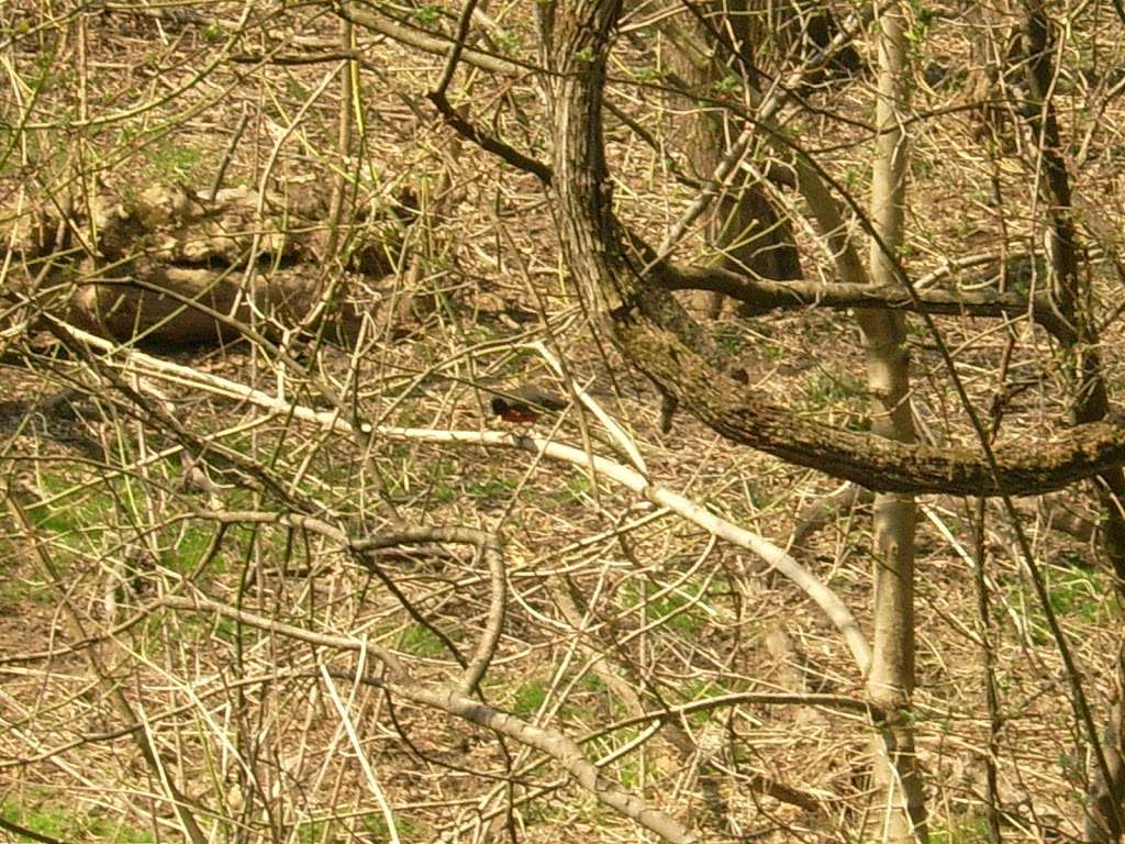 Delaware Canal Trail | Delaware Canal Trail, Erwinna, PA 18920, USA