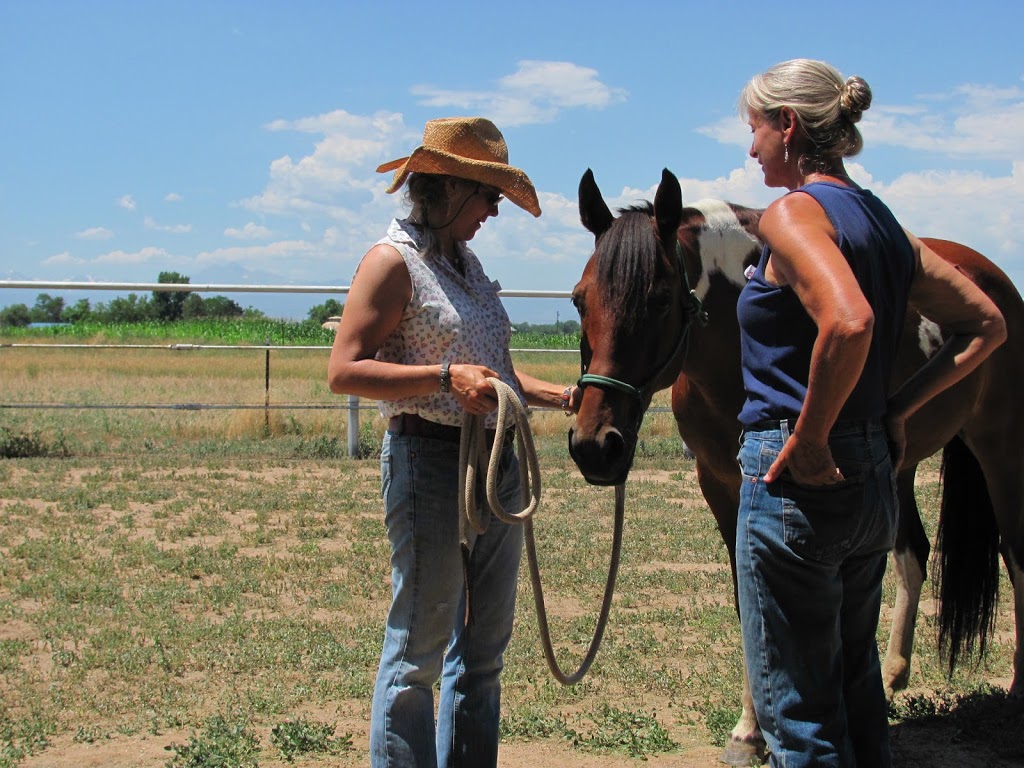 On the Wings of a Horse | 15575 Co Rd 25, Platteville, CO 80651, USA | Phone: (970) 785-9090