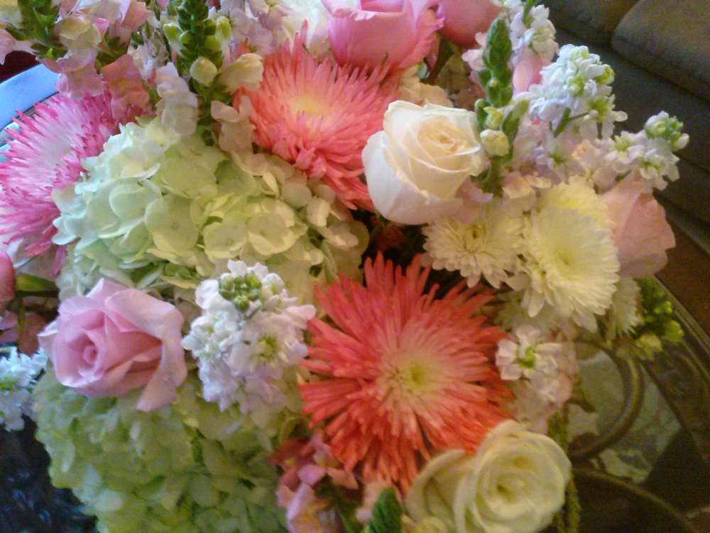 Moonflower Florist | 1046 Kiser Dr, San Jose, CA 95120, USA | Phone: (408) 893-7845