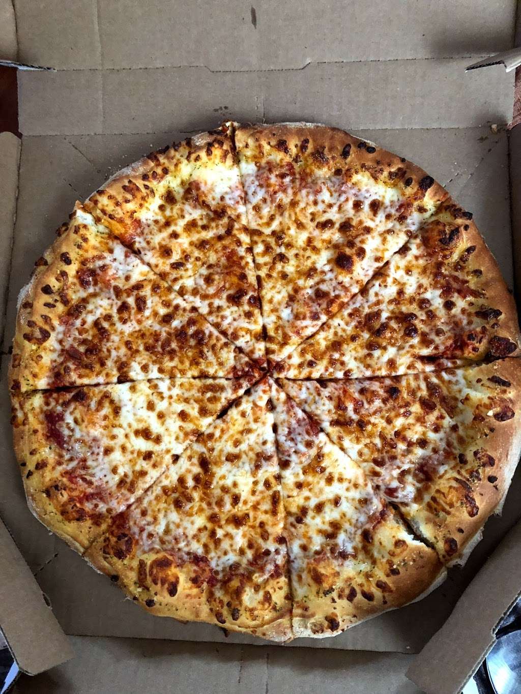 Dominos Pizza | 7325 Castor Ave, Philadelphia, PA 19152, USA | Phone: (215) 722-1330