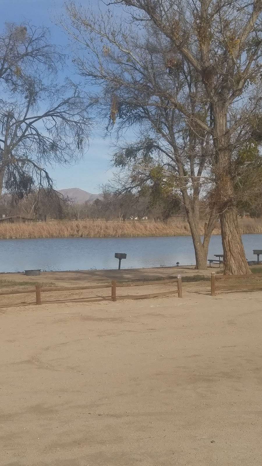 Mojave Narrows Regional Park | 18000 Yates Rd, Victorville, CA 92392 | Phone: (760) 245-2226