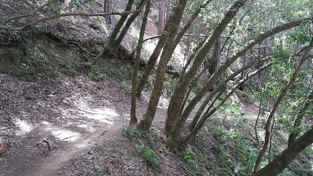 Tucker Cutoff Trail | 3 94904, 9 Phoenix Rd, Kentfield, CA 94904, USA