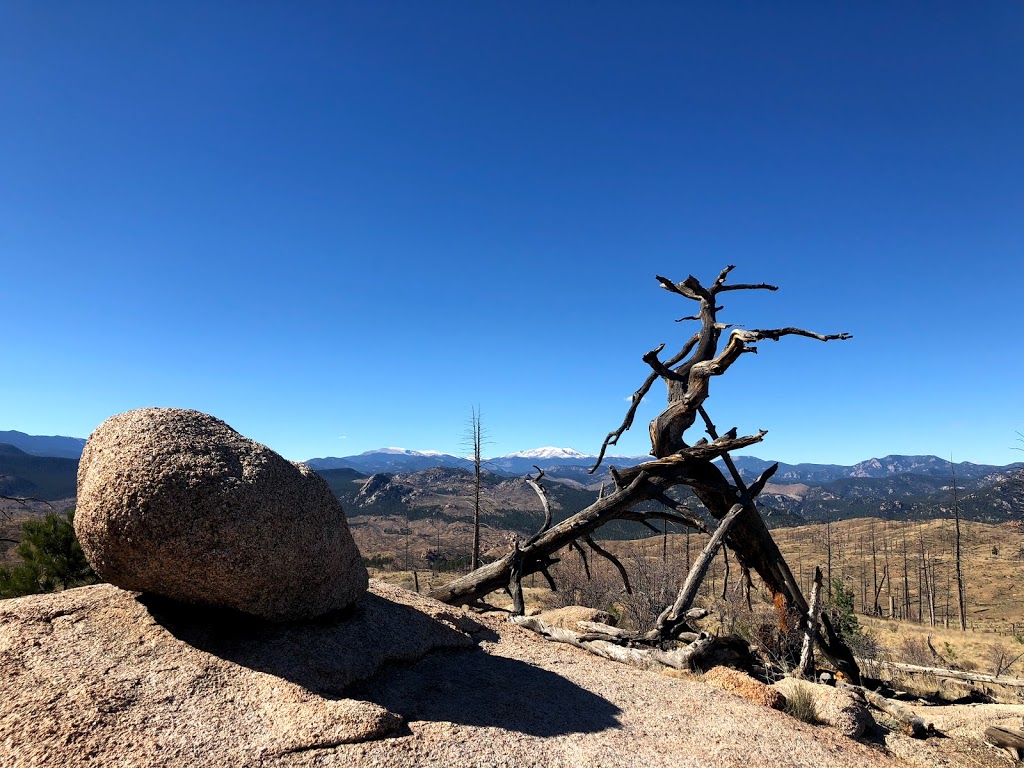 Nice Kitty Trail | Pine, CO 80470, USA