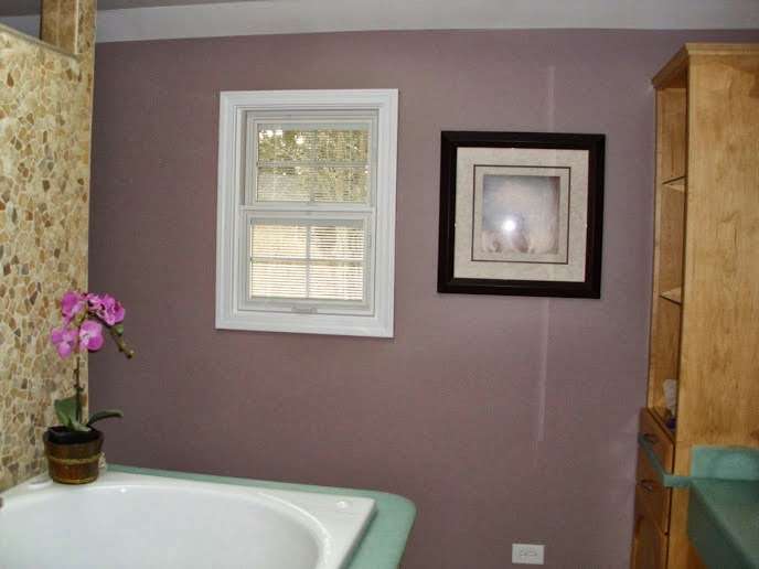 Alpro Painting Plus | 136 Dolores St, Oswego, IL 60543 | Phone: (630) 278-0132