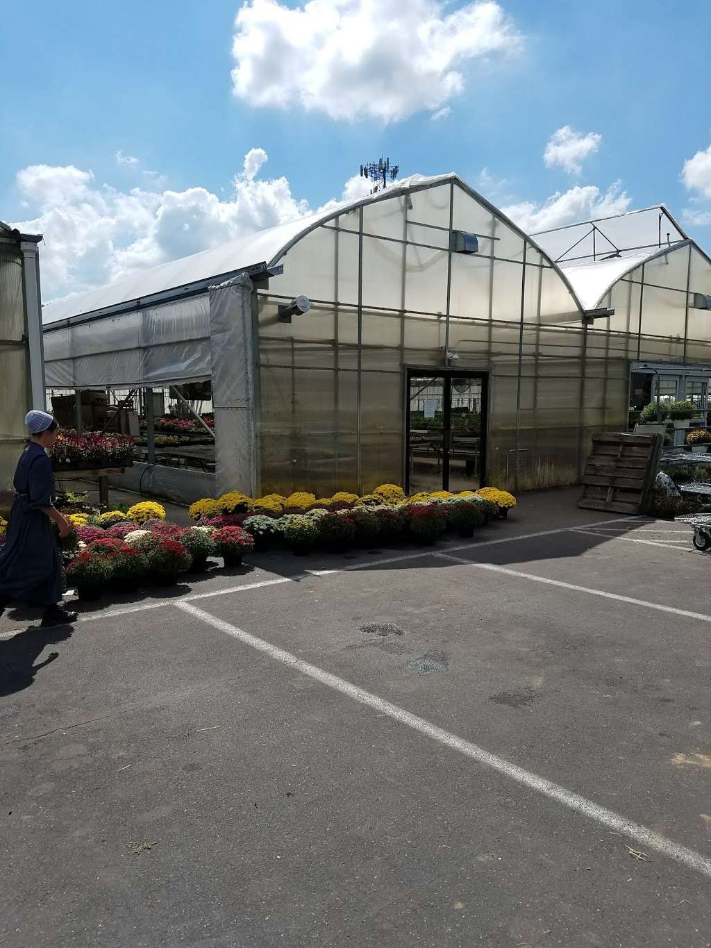 Rays Greenhouse | 458 Morwood Rd, Telford, PA 18969, USA | Phone: (215) 723-1476