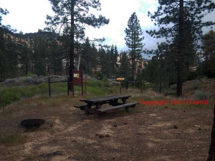 Thorn Meadows Campground | Maricopa, CA 93252, USA