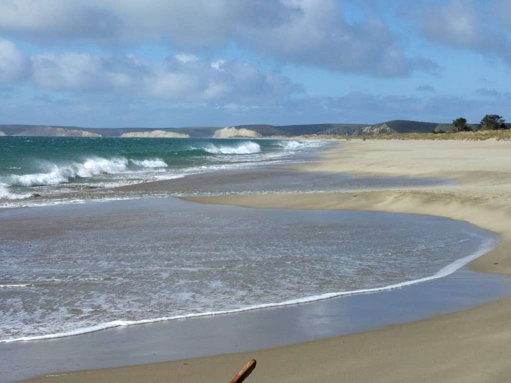 Limantour Beach | Point Reyes Station, CA 94956, USA