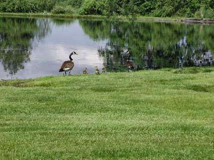 Dockside Bed & Breakfast | 6089 Herring Ct, New Tripoli, PA 18066, USA | Phone: (610) 698-2448