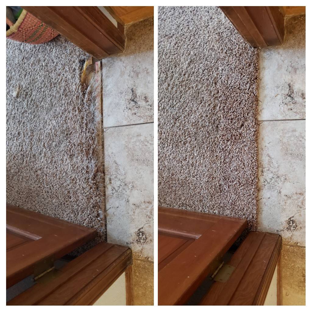 Steam Smart Pro Carpet Duct & Tile Cleaning | 5151 N Oracle Rd Suite 203, Tucson, AZ 85704, United States | Phone: (520) 462-9145