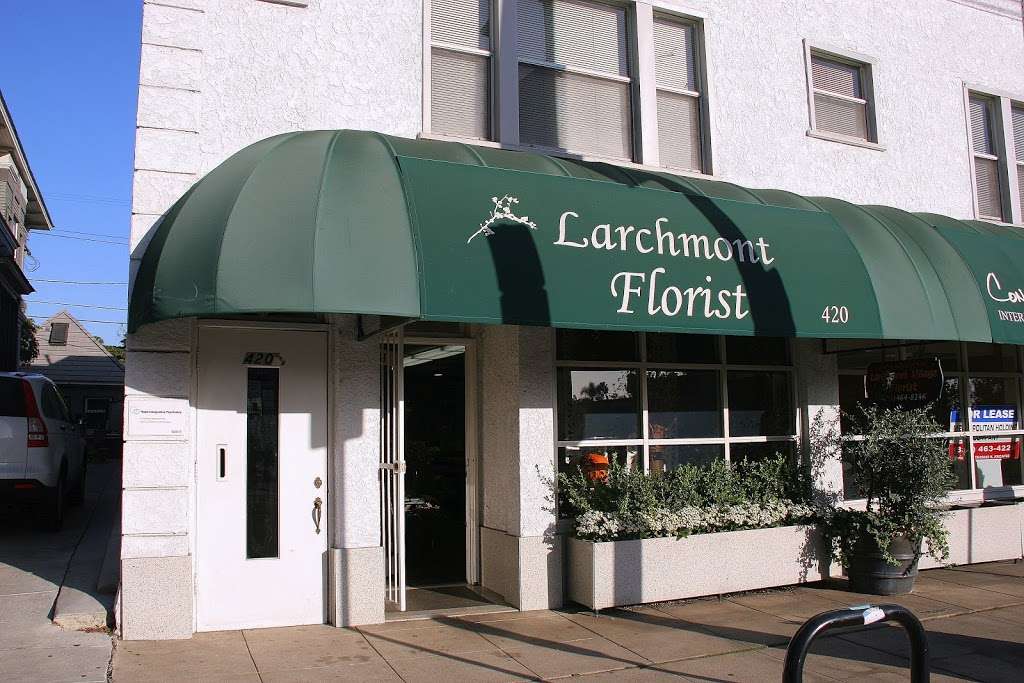 LARCHMONT VILLAGE FLORIST | 420 N Larchmont Blvd, Los Angeles, CA 90004, USA | Phone: (323) 464-8146