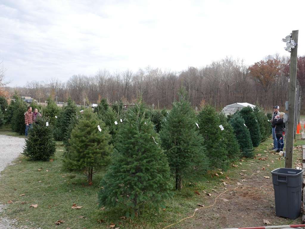 Watts Christmas Tree Farm and Sparkle Shop | 9101 Moore Rd, Zionsville, IN 46077 | Phone: (317) 873-2365