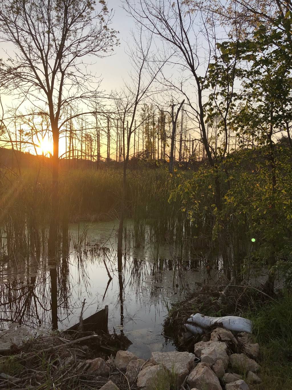 Vadnais-Sucker Lake Regional Park | County Rd F E, Vadnais Heights, MN 55127, USA | Phone: (651) 748-2500