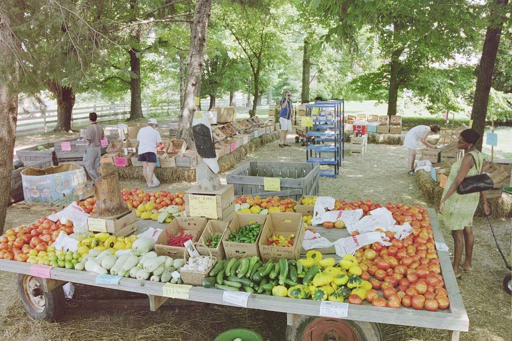 Farmer Johns Fruit & Vegetable Market | 15520 James Monroe Hwy, Leesburg, VA 20176, USA | Phone: (703) 771-8982