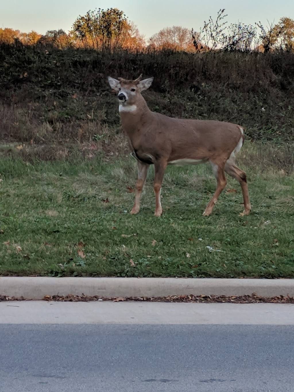 Menomonee River Parkway | Menomonee River Pkwy, Wauwatosa, WI 53222, USA | Phone: (414) 257-7275