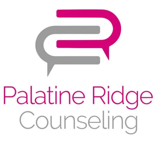 Palatine Ridge Counseling | 1278 W Northwest Hwy, Palatine, IL 60067, USA | Phone: (847) 496-5529