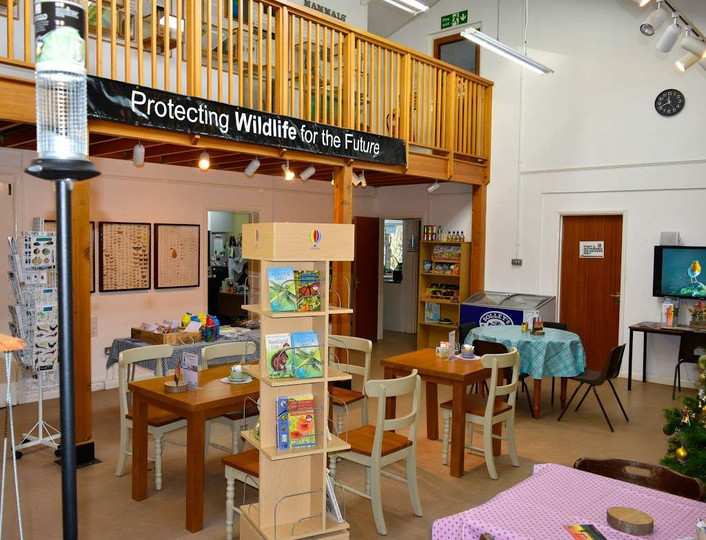 Sevenoaks Wildlife Reserve | Bradbourne Vale Rd, Sevenoaks TN13 3DH, UK | Phone: 01622 357879