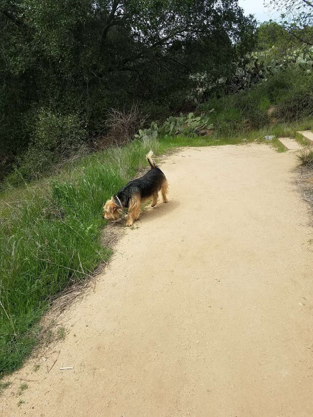 Summitridge Trail | Unnamed Road, Diamond Bar, CA 91765, USA | Phone: (909) 839-7060