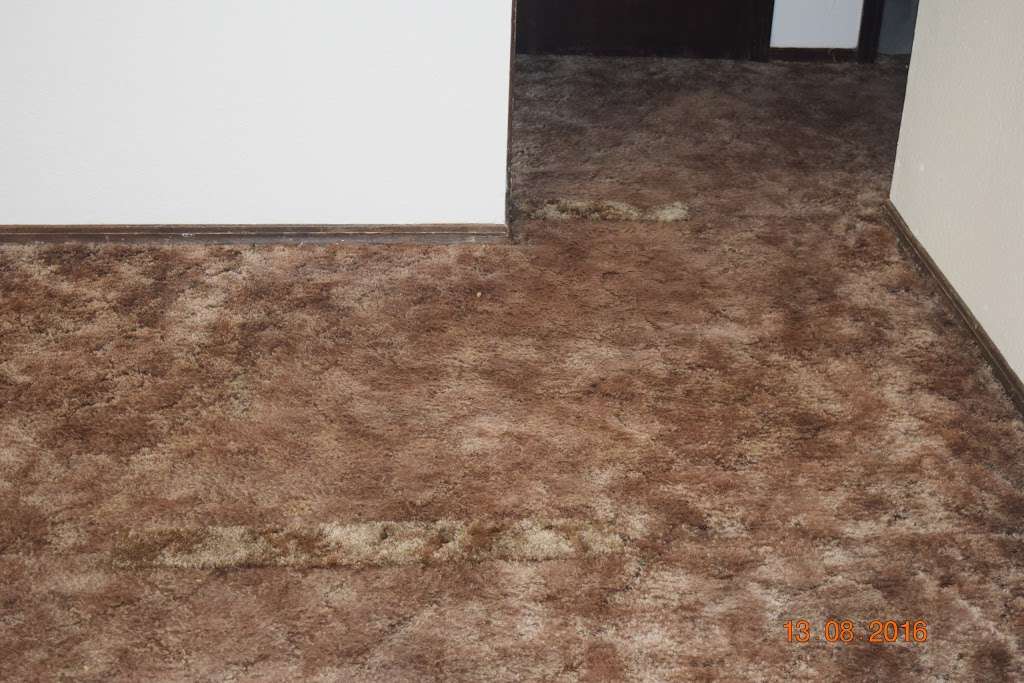 American Steamer Carpet | 120 Chestnut St, Lincolnton, NC 28092, USA | Phone: (704) 239-5259