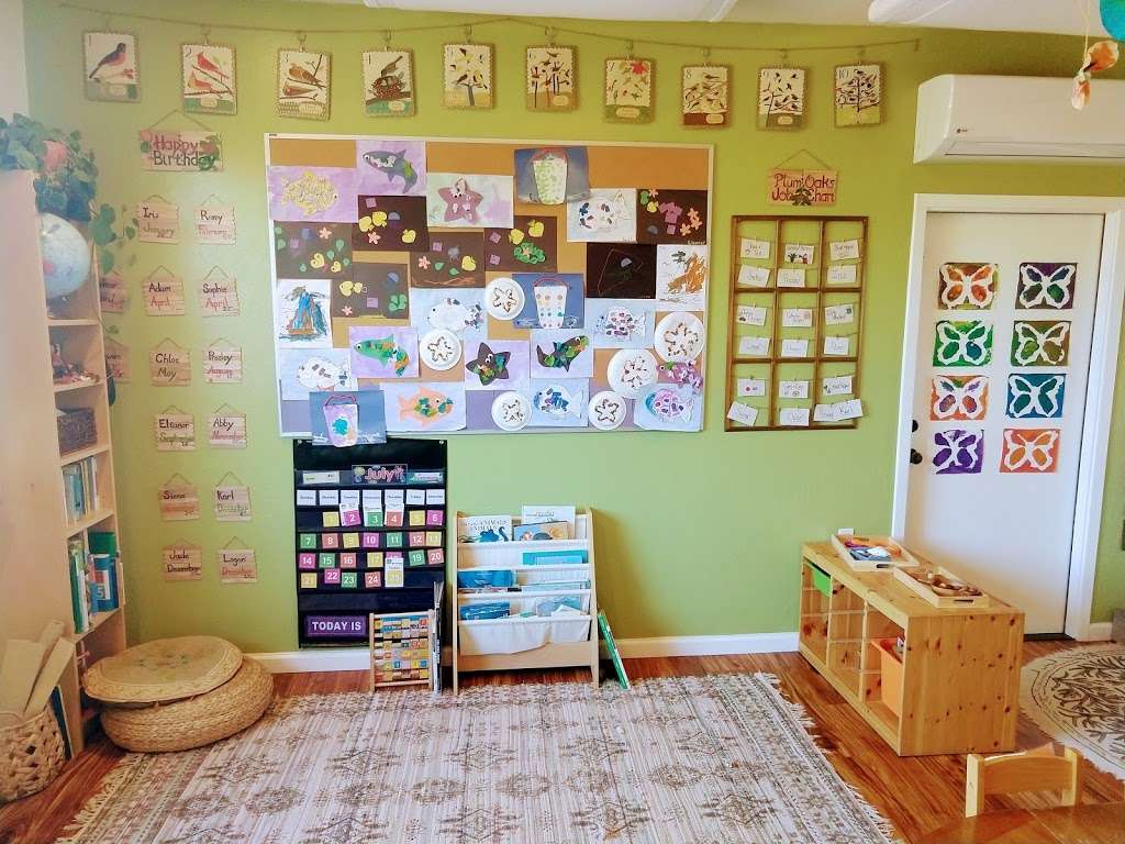 Plum Oaks Childcare & Farm | 5686 Hall Rd, Santa Rosa, CA 95401, USA | Phone: (707) 843-7730