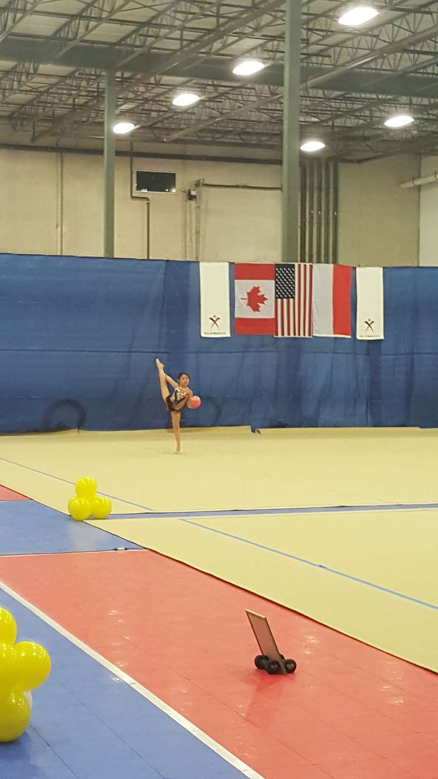 Yaga Rhythmic Gymnastics Academy | B, 1000 Davey Rd #600, Woodridge, IL 60517, USA | Phone: (630) 935-1767