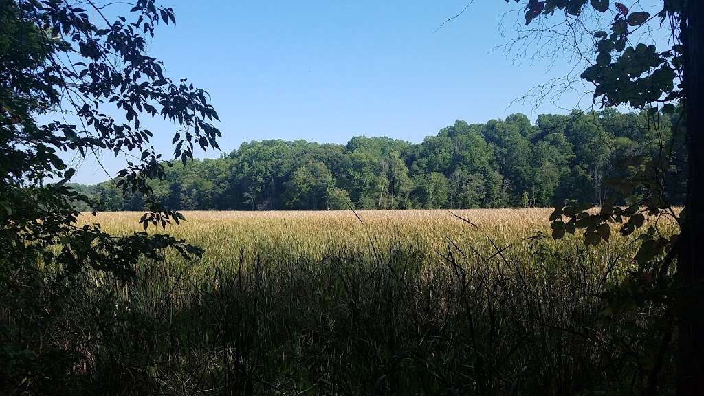 Chestnut Land Trust Prince Frederick Trailhead | 165 Vianney Ln, Prince Frederick, MD 20678, USA | Phone: (410) 414-3400