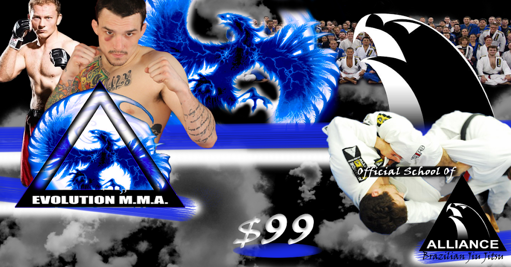Evolution Mixed Martial Arts | 1600 Shore Rd, Naperville, IL 60563, USA | Phone: (847) 261-4662