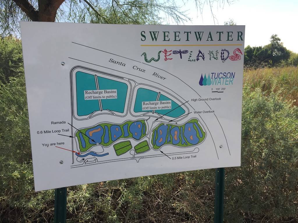 Sweetwater Wetlands Park | 2511 W Sweetwater Dr, Tucson, AZ 85745, USA | Phone: (520) 791-4331