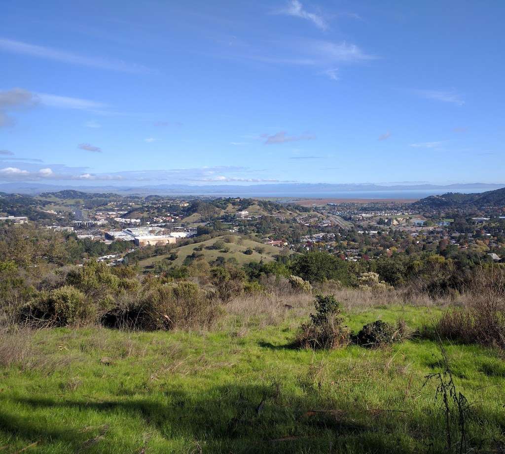 Terra Linda-Sleepy Hollow Divide Northern Preserve | San Rafael, CA 94903, USA Terra Linda-Sleepy Hollow Divide Northern Preserve | San Rafael, CA 94903, USA