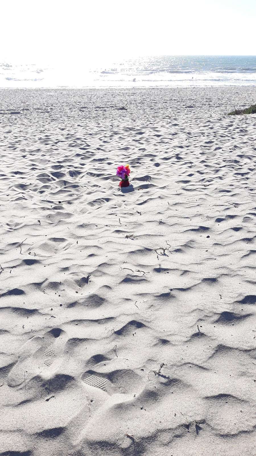 Bootsie memorial sand dune | Ventura, CA 93001, USA