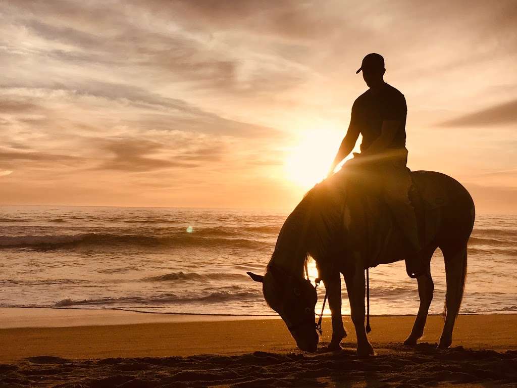 San Diego Beach Rides, Horse Rentals & Wagon Rides | 2606 Hollister St, San Diego, CA 92154, USA | Phone: (619) 947-3152