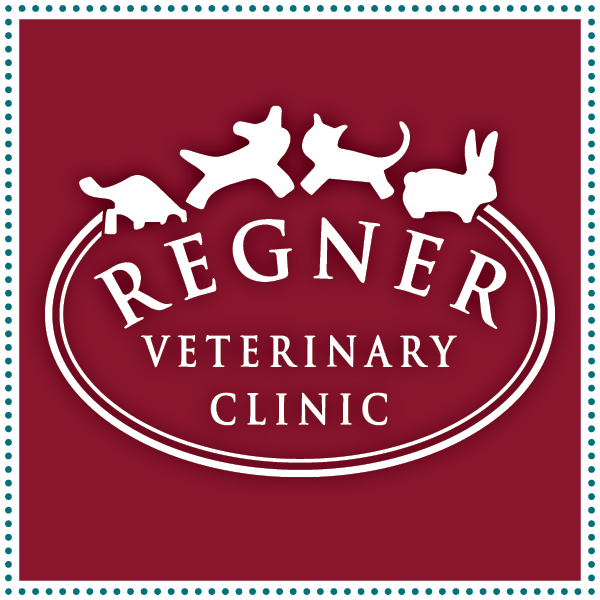 Regner Veterinary Clinic | 10372 77th St, Pleasant Prairie, WI 53158, USA | Phone: (262) 694-3100