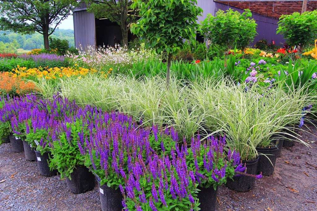 Rave Landscaping & Discount Plant Center | 621 Valley View Rd, Dallas, PA 18612, USA | Phone: (570) 675-4537