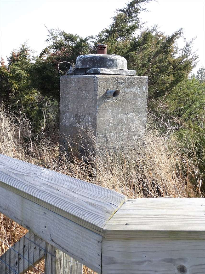 Bird Watching Station | Lewes, DE 19958