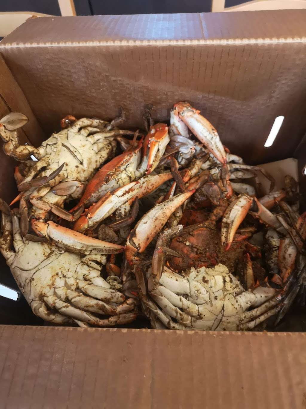 Conrads Crabs & Seafood Market -Parkville, MD | 1720 E Joppa Rd, Parkville, MD 21234, USA | Phone: (410) 882-1515