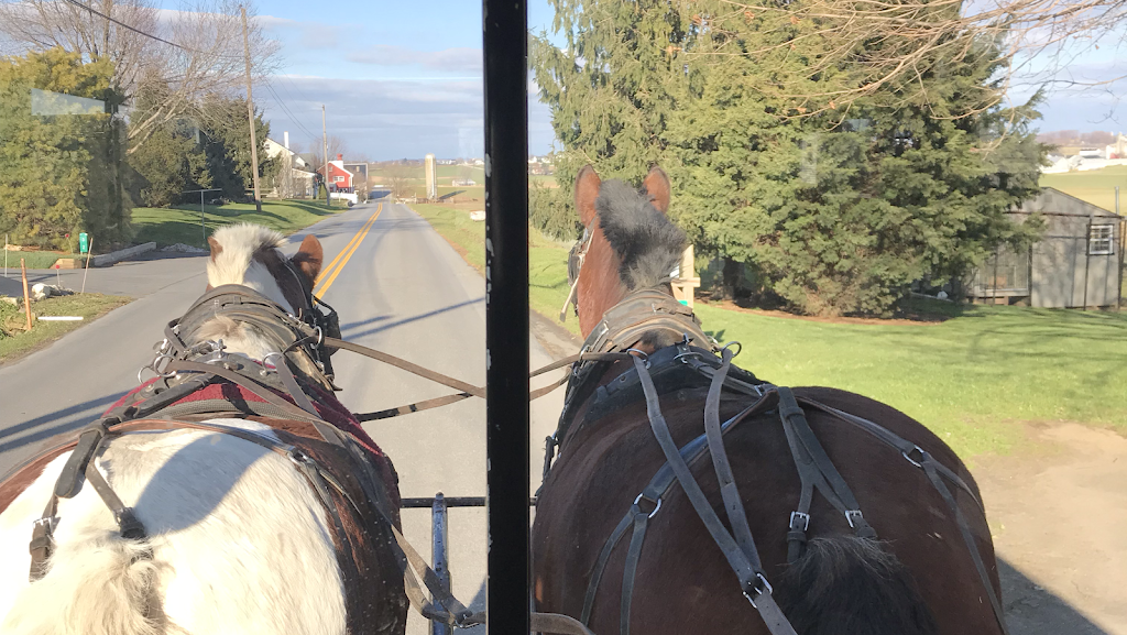 Aaron and Jessica’s Amish Buggy Rides | at Plain and Fancy Farm, 3121 Old Philadelphia Pike, Ronks, PA 17572, USA | Phone: (717) 768-8828