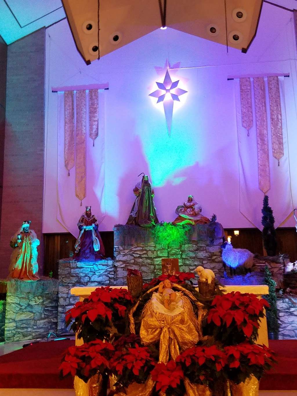 Our Lady of Mount Carmel | 6723 Whitefriars Dr, Houston, TX 77087 | Phone: (713) 645-6673