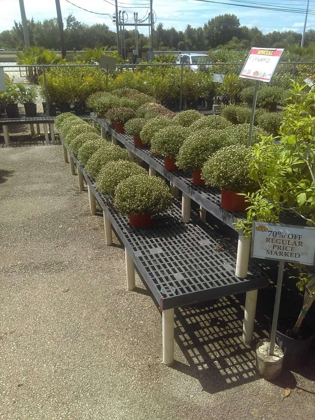 Houston Garden Center Store 23260 Northwest Fwy Cypress Tx