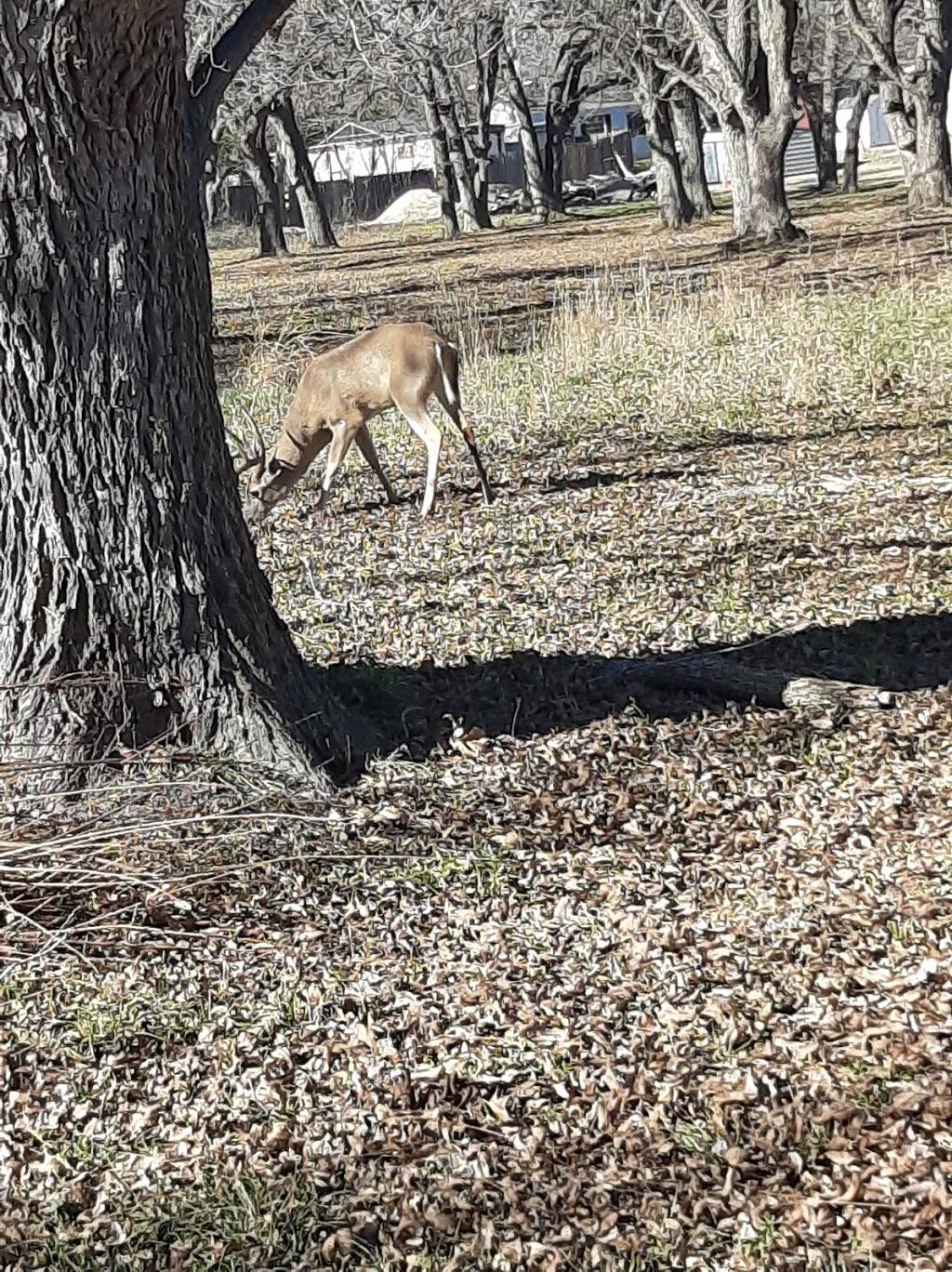 Meadows at Trinity Crossing Park | 5900 Sendero Hills Pkwy, Austin, TX 78724, USA | Phone: (512) 974-6700