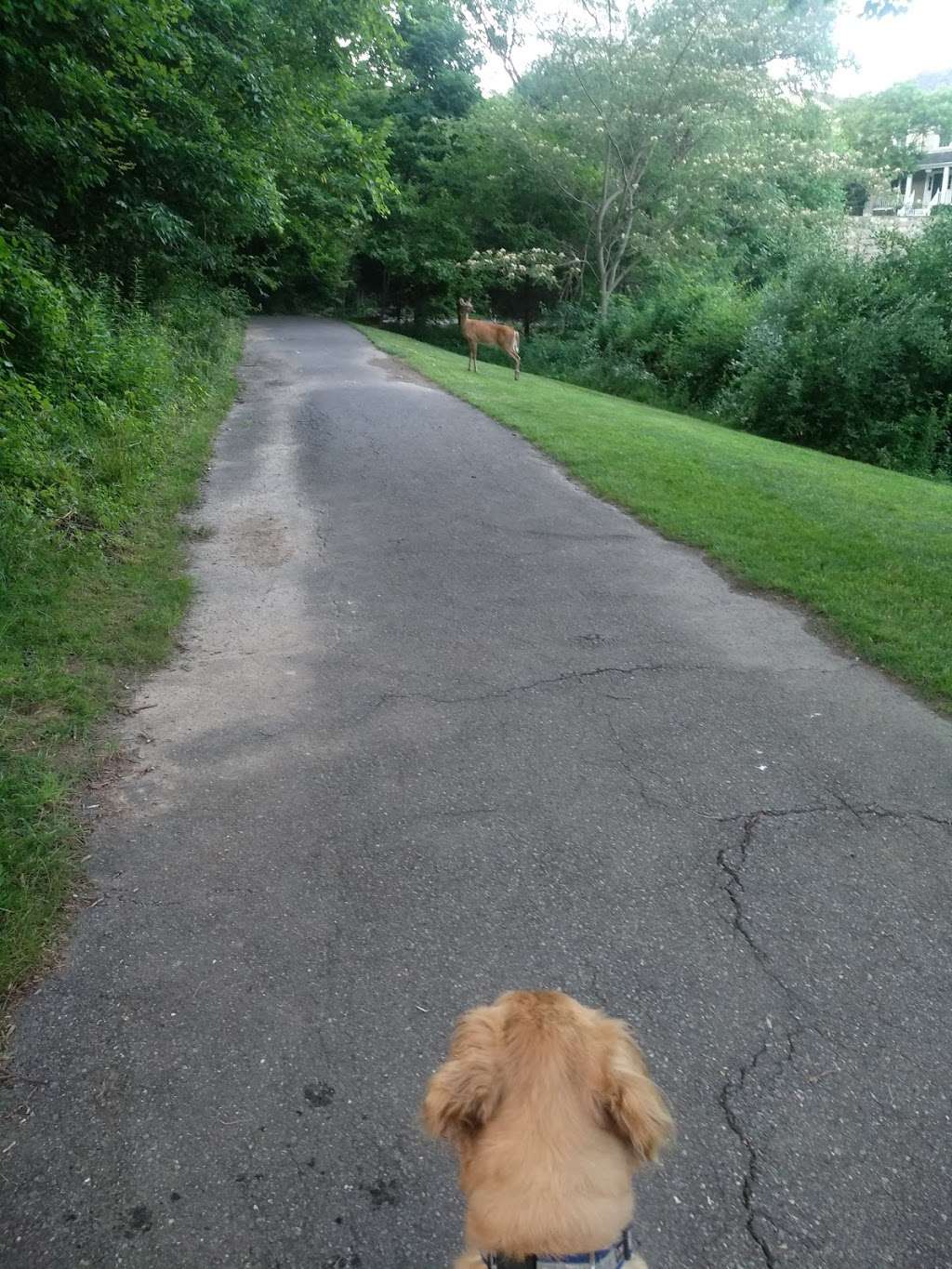 Inspiration Lake Hiking Trail | Unnamed Road, Gaithersburg, MD 20878, USA