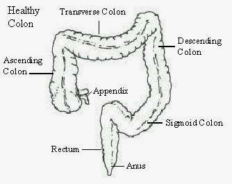 LA Pain Care Center | 600 N Thacker Ave Ste D35, Kissimmee, FL 34741 | Phone: (321) 300-6890