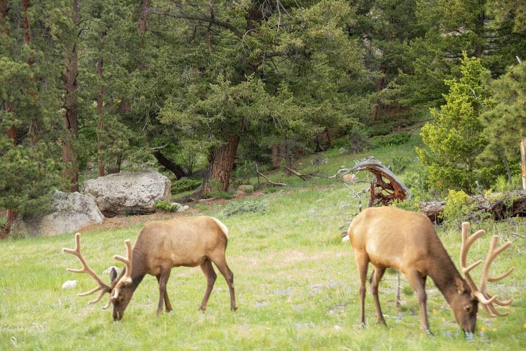 West Alluvial Fan Trailhead | Estes Park, CO 80517, USA