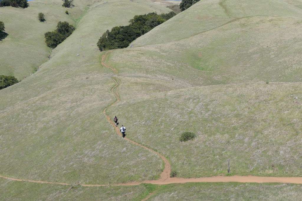 Matt Davis Trail Head | Matt Davis Trail, Stinson Beach, CA 94970