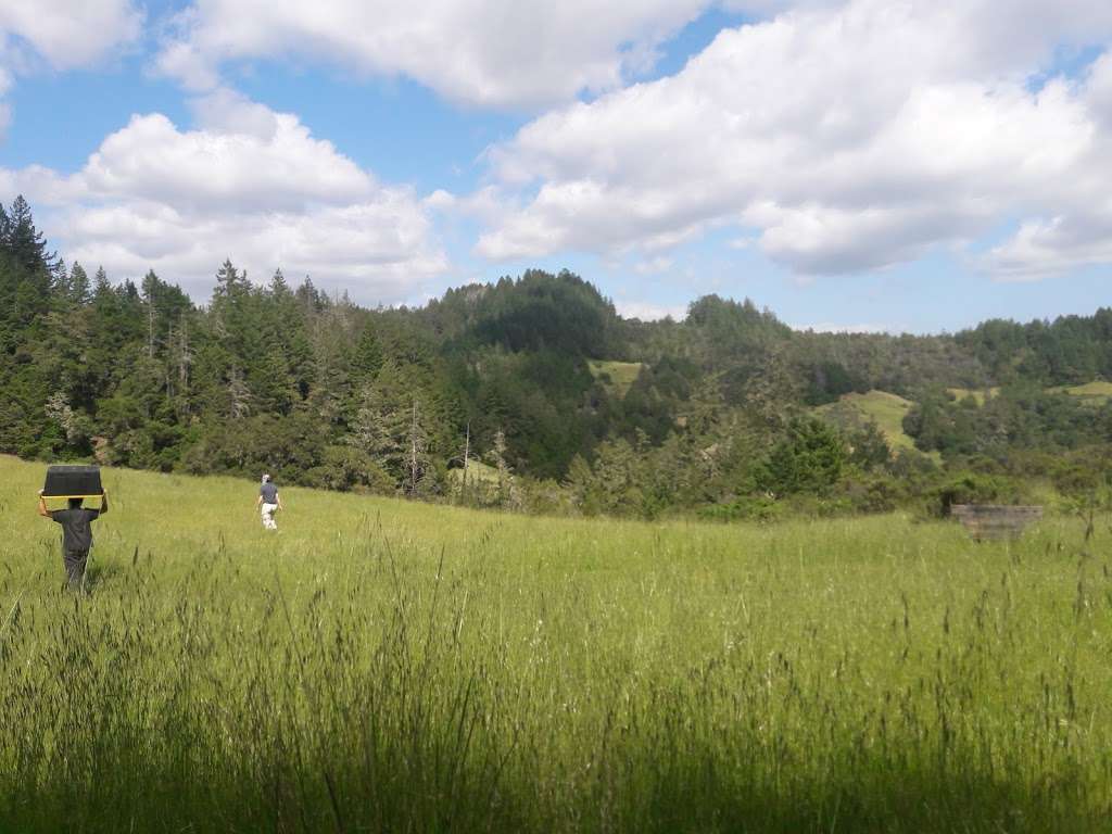 Bohemia Ecological Preserve | 6773 Bohemian Hwy, Occidental, CA 95465, USA | Phone: (707) 544-7284