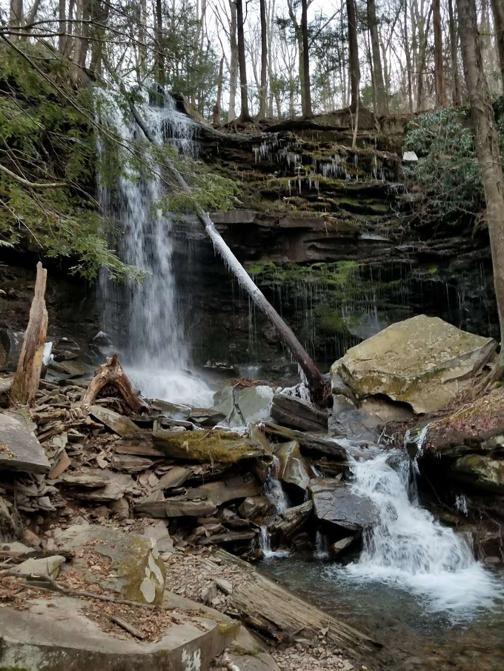 Loyalsock State Forest | 6735 US-220, Dushore, PA 18614, USA | Phone: (570) 946-4049