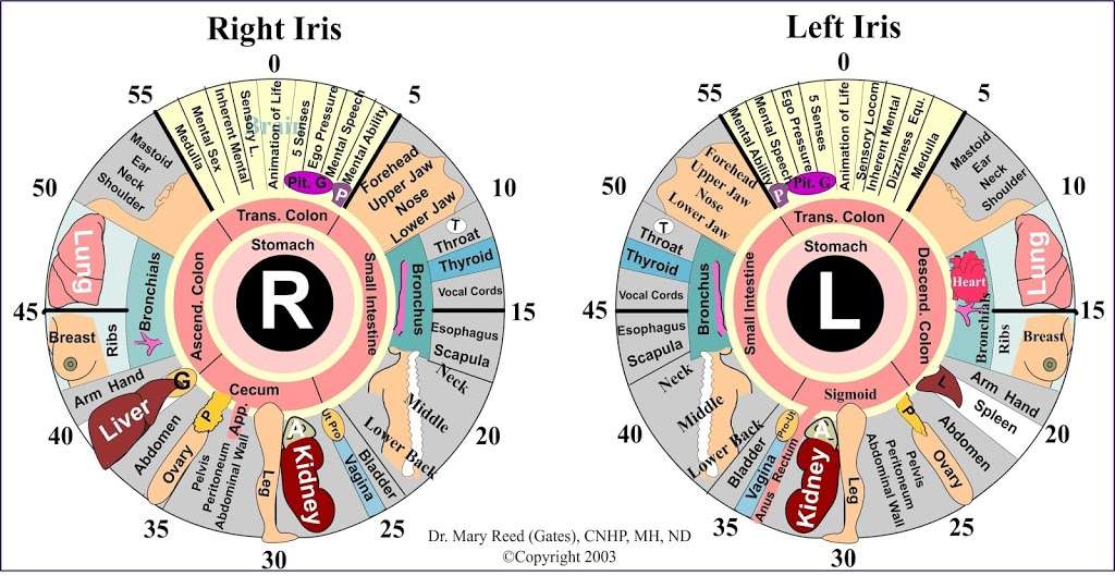 Dr. Mary L. Reed Gates, CNHP, MH, ND | 750 Church St, Landisville, PA 17538, USA | Phone: (717) 898-2220