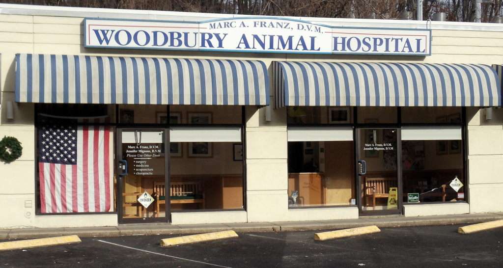 Woodbury Animal Hospital | 145 Woodbury Rd, Woodbury, NY 11797, USA | Phone: (516) 367-7100