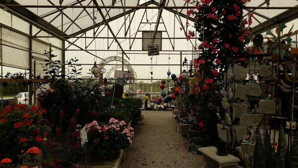 Graber Greenhouse | 30707 MO-6, Jamesport, MO 64648, USA | Phone: (660) 684-6518