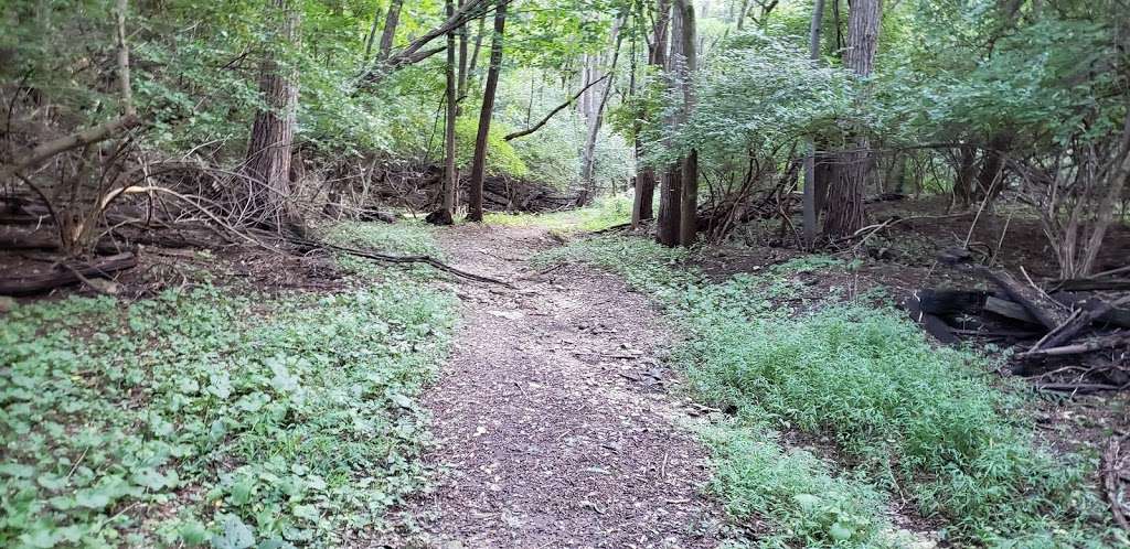 Goshen Terrace Nature Trail | 1259 Queen Ln, West Chester, PA 19382, USA