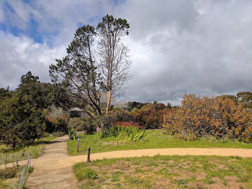 UC Santa Cruz Arboretum & Botanic Garden | 1156 High St, Santa Cruz, CA 95064, USA | Phone: (831) 502-2998