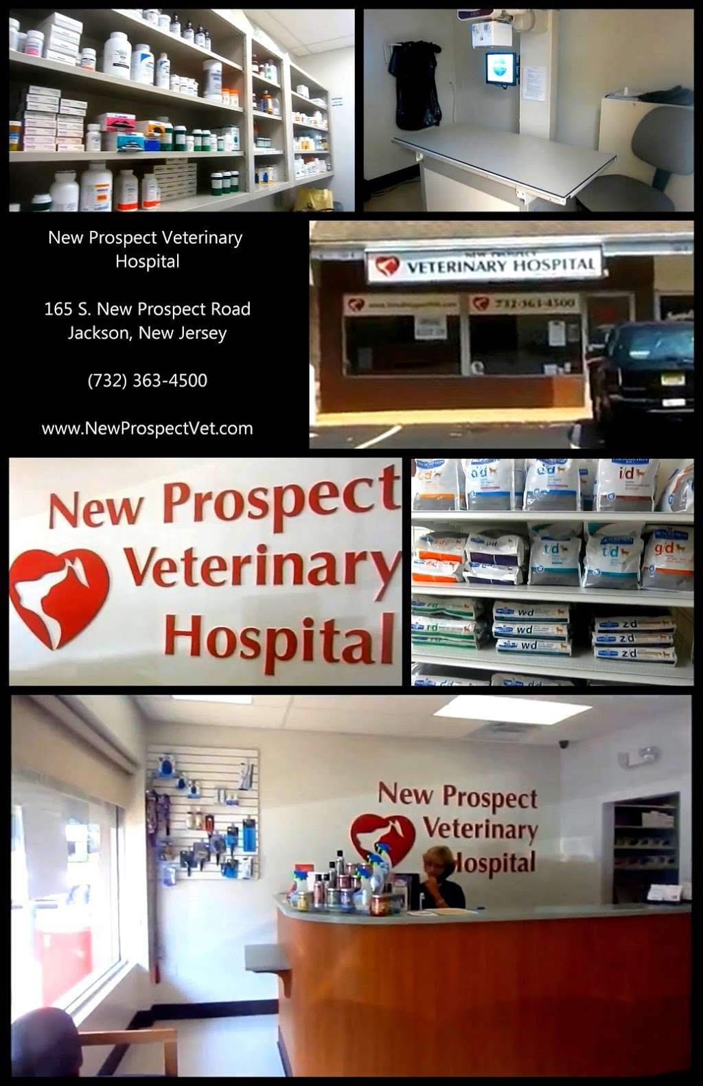 New Prospect Veterinary Hospital | 165 S New Prospect Rd, Jackson, NJ 08527, USA | Phone: (732) 363-4500